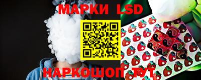 гашик Новозыбков