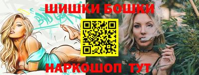 гашик Новозыбков
