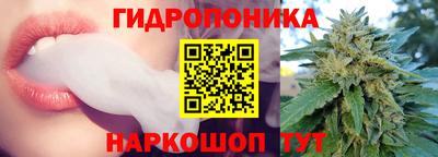 2c-b Новодвинск
