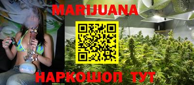 гашик Новозыбков